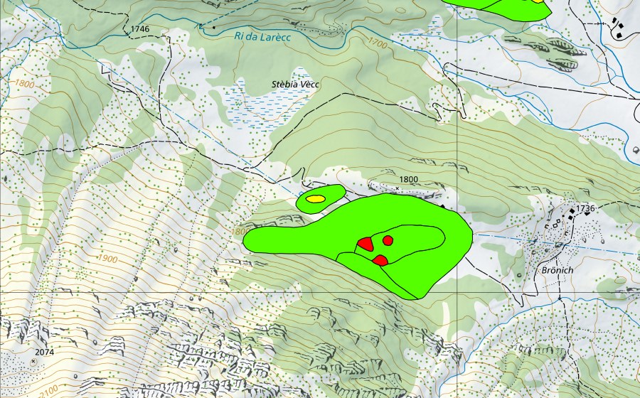 Landeskarte swisstopo mit dem Schutzperimeter von Frodalera (Hochmoor)