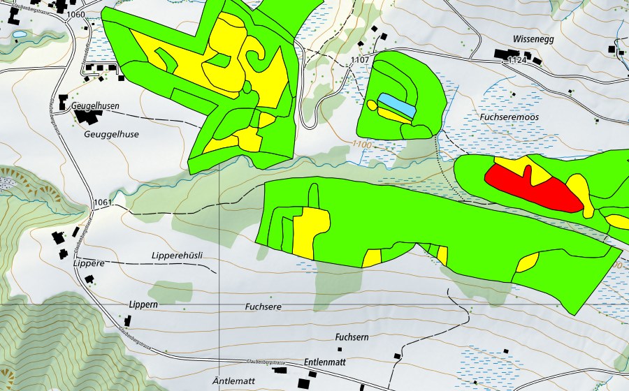 Landeskarte swisstopo mit dem Schutzperimeter von Fuchseren (Hochmoor)