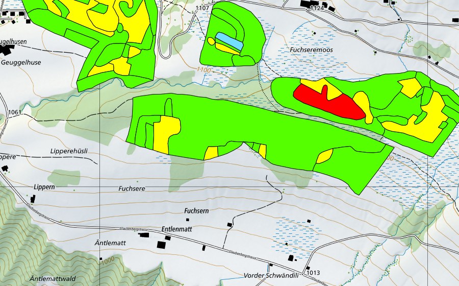 swisstopo national map showing the protected perimeter of Fuchseren (Raised bog)