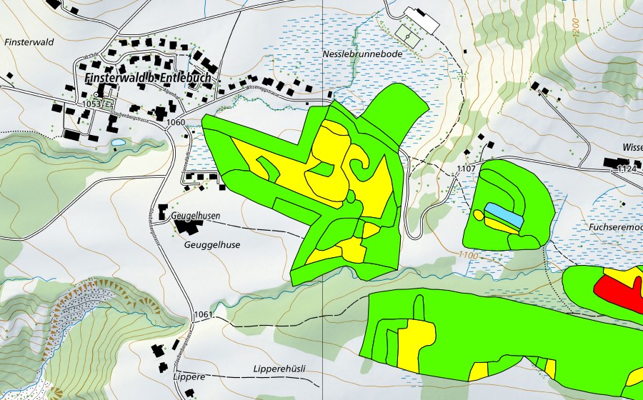 Carte nationale swisstopo avec le périmètre protégé de Fuchserenmoos/Geugelhusenmoos (Haut-marais)
