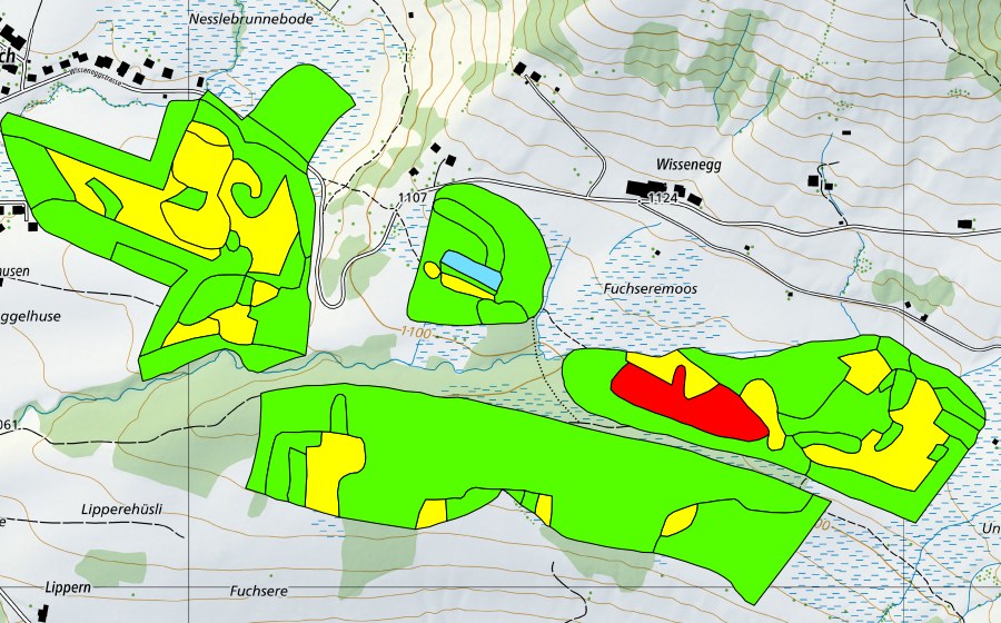Landeskarte swisstopo mit dem Schutzperimeter von Fuchserenmoos/Geugelhusenmoos (Hochmoor)