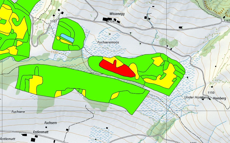 Landeskarte swisstopo mit dem Schutzperimeter von Fuchserenmoos/Geugelhusenmoos (Hochmoor)