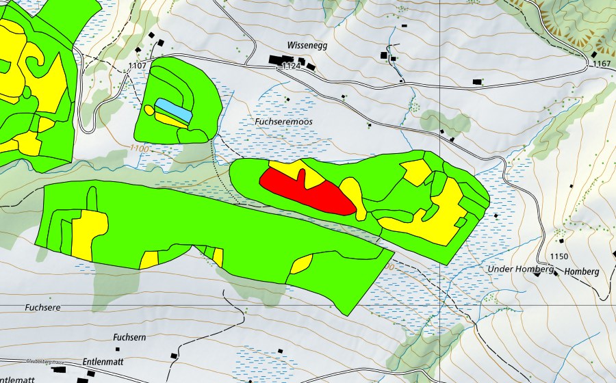 Carte nationale swisstopo avec le périmètre protégé de Fuchserenmoos/Geugelhusenmoos (Haut-marais)