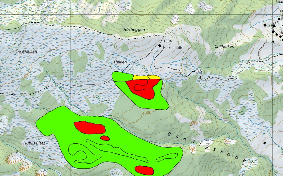 Landeskarte swisstopo mit dem Schutzperimeter von Furenwald (Hochmoor)