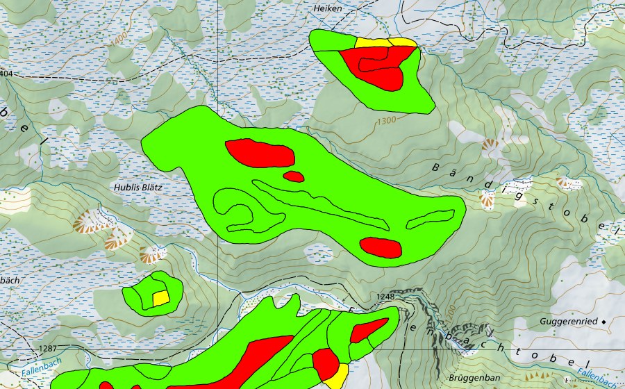 swisstopo national map showing the protected perimeter of Furenwald (Raised bog)