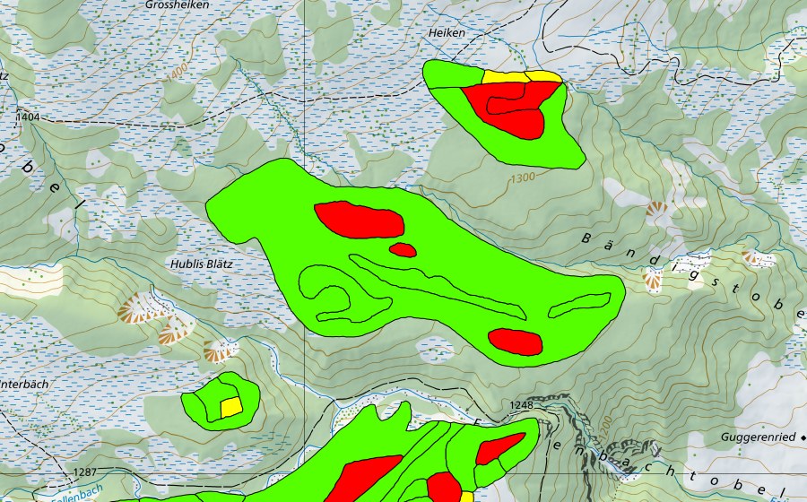swisstopo national map showing the protected perimeter of Furenwald (Raised bog)