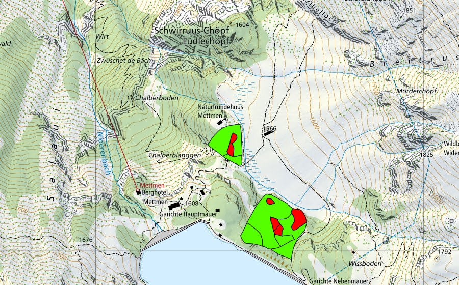 Carte nationale swisstopo avec le périmètre protégé de Garichti (Haut-marais)