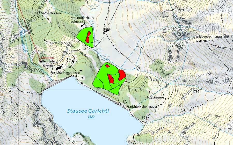 Carte nationale swisstopo avec le périmètre protégé de Garichti (Haut-marais)