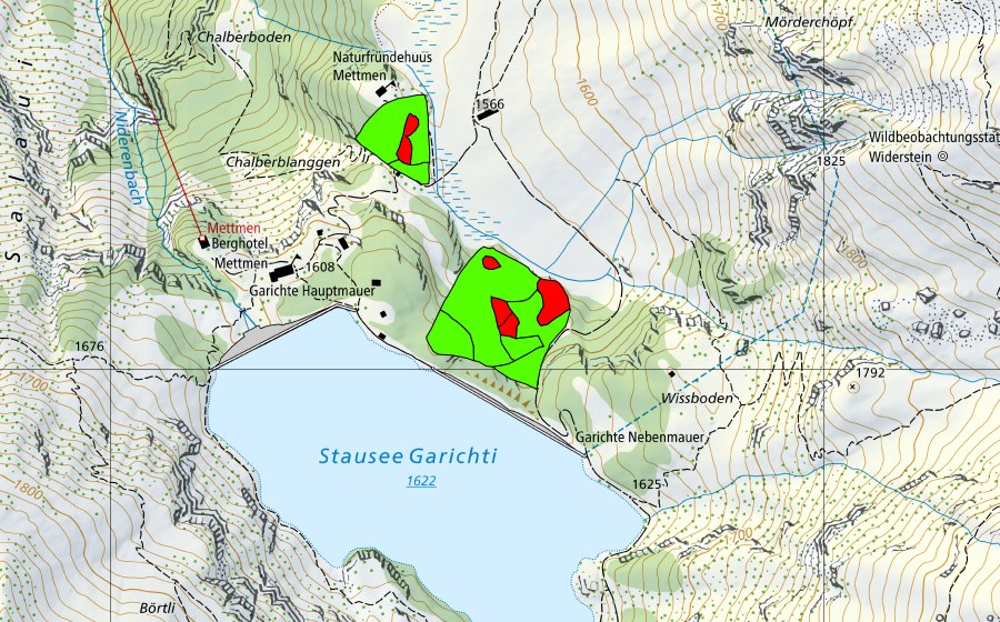 Carte nationale swisstopo avec le périmètre protégé de Garichti (Haut-marais)