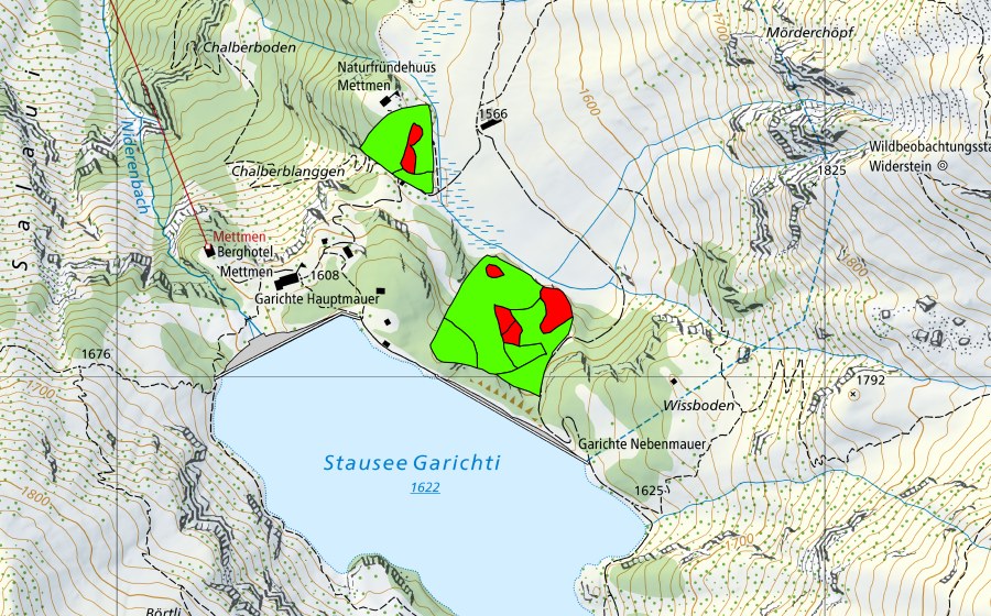 Carte nationale swisstopo avec le périmètre protégé de Garichti (Haut-marais)