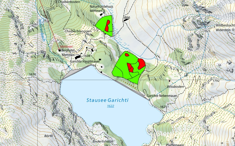 Carte nationale swisstopo avec le périmètre protégé de Garichti (Haut-marais)
