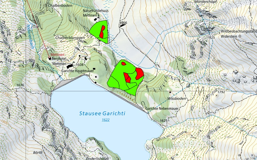 swisstopo national map showing the protected perimeter of Garichti (Raised bog)