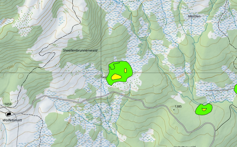 Landeskarte swisstopo mit dem Schutzperimeter von Gerenstock (Hochmoor)