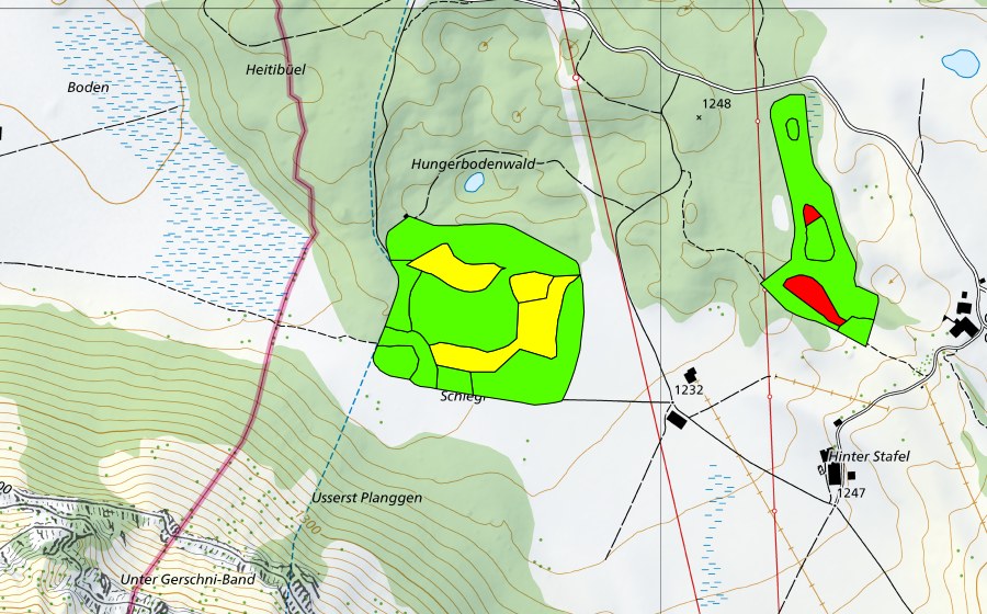 Landeskarte swisstopo mit dem Schutzperimeter von Gerschni (Hochmoor)