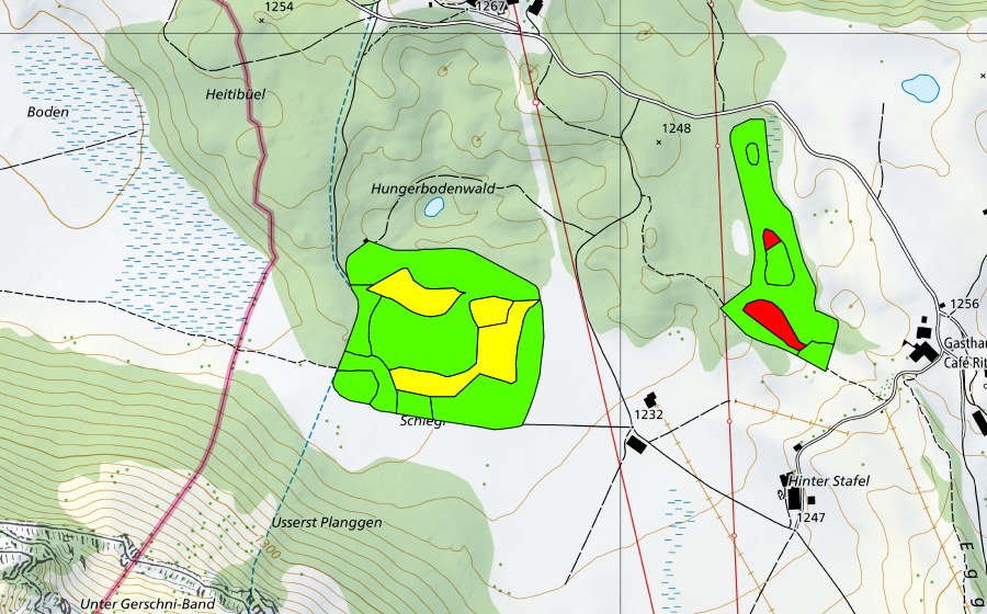 Landeskarte swisstopo mit dem Schutzperimeter von Gerschni (Hochmoor)
