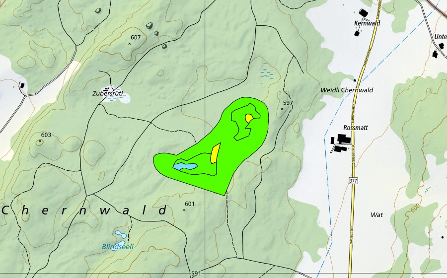 Carte nationale swisstopo avec le périmètre protégé de Gerzensee im Kernwald (Haut-marais)