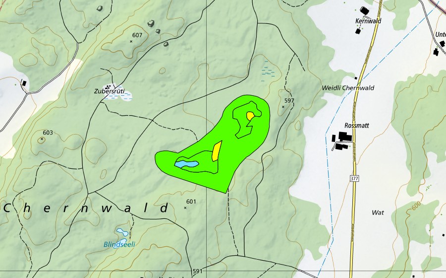 Landeskarte swisstopo mit dem Schutzperimeter von Gerzensee im Kernwald (Hochmoor)