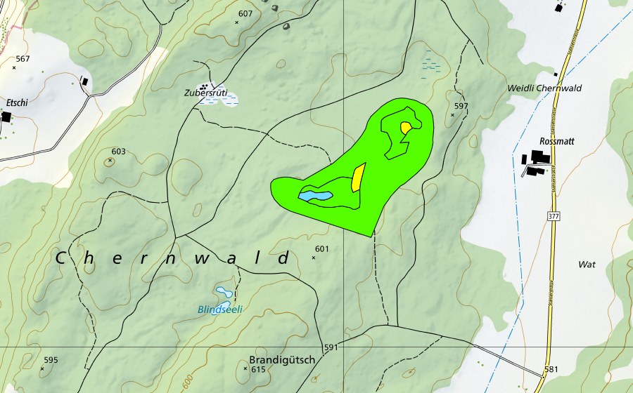 Carte nationale swisstopo avec le périmètre protégé de Gerzensee im Kernwald (Haut-marais)