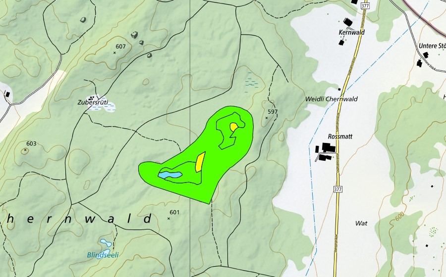 swisstopo national map showing the protected perimeter of Gerzensee im Kernwald (Raised bog)