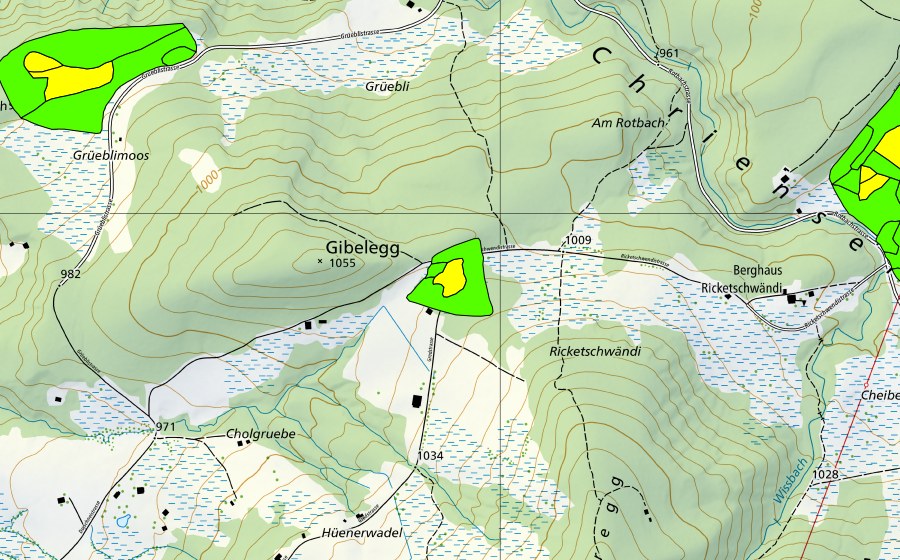 swisstopo national map showing the protected perimeter of Gibelegg (Raised bog)