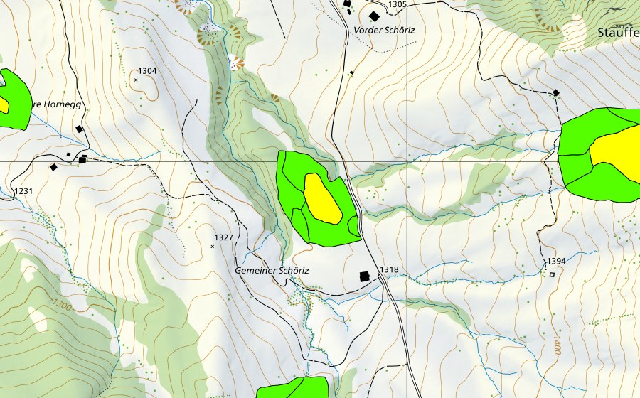 swisstopo national map showing the protected perimeter of Gmeine Schöriz (Raised bog)