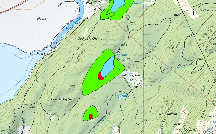 Carte nationale swisstopo avec le périmètre protégé de God Surlej (Haut-marais)
