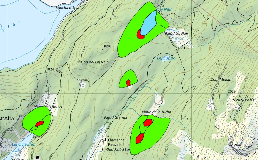 swisstopo national map showing the protected perimeter of God Surlej (Raised bog)
