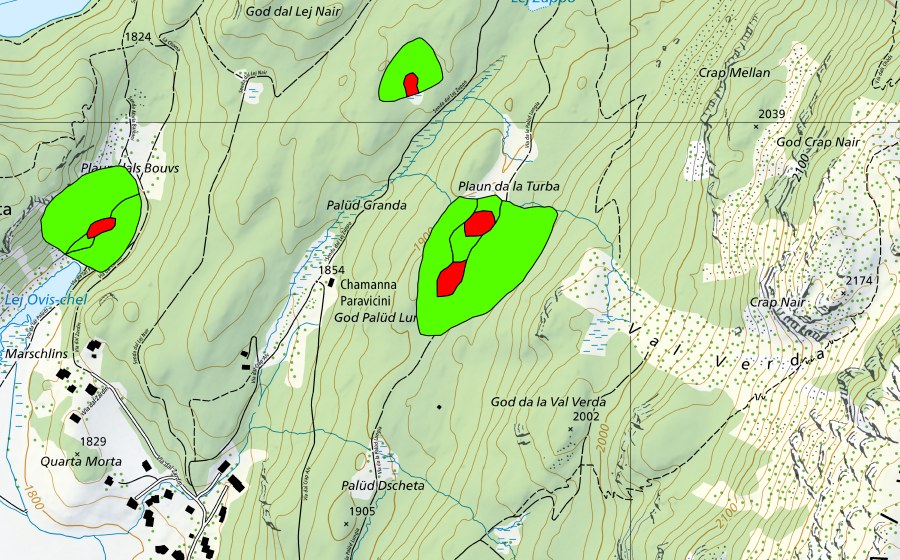 Landeskarte swisstopo mit dem Schutzperimeter von God Surlej (Hochmoor)