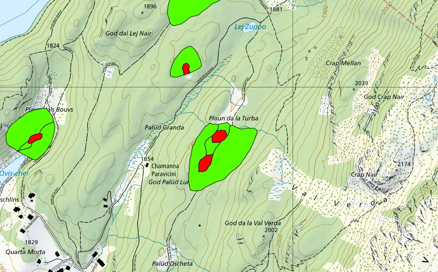 Carte nationale swisstopo avec le périmètre protégé de God Surlej (Haut-marais)