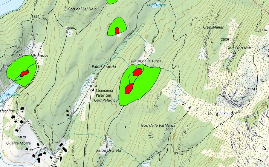 Landeskarte swisstopo mit dem Schutzperimeter von God Surlej (Hochmoor)
