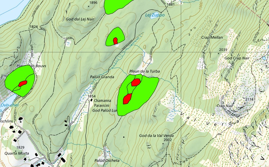Landeskarte swisstopo mit dem Schutzperimeter von God Surlej (Hochmoor)
