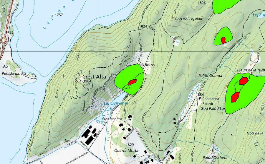 swisstopo national map showing the protected perimeter of God Surlej (Raised bog)