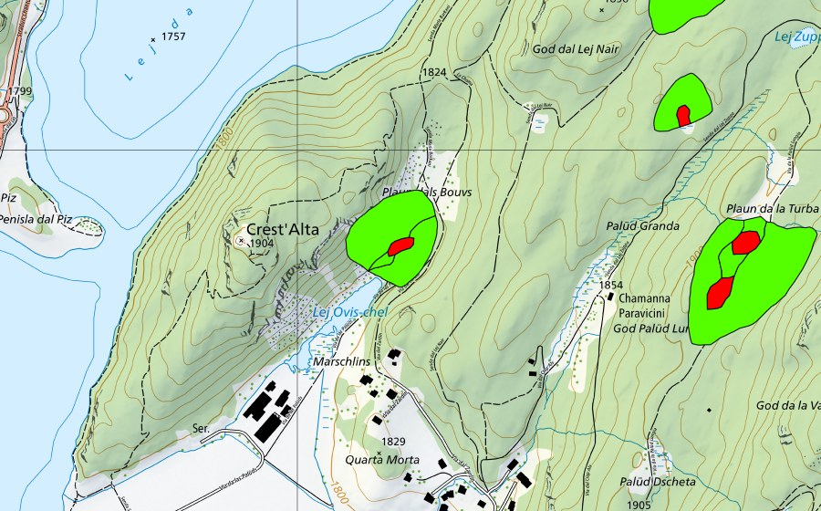 Carte nationale swisstopo avec le périmètre protégé de God Surlej (Haut-marais)
