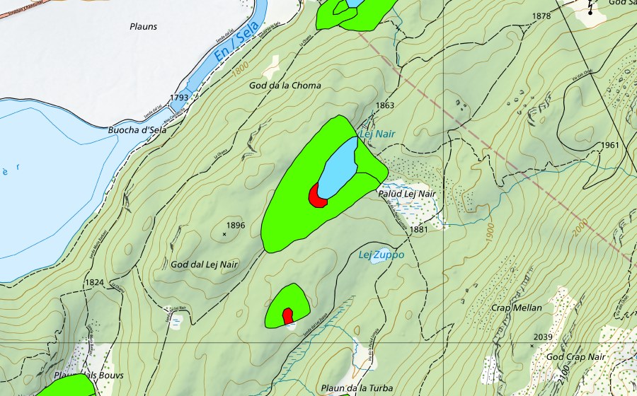 swisstopo national map showing the protected perimeter of God Surlej (Raised bog)