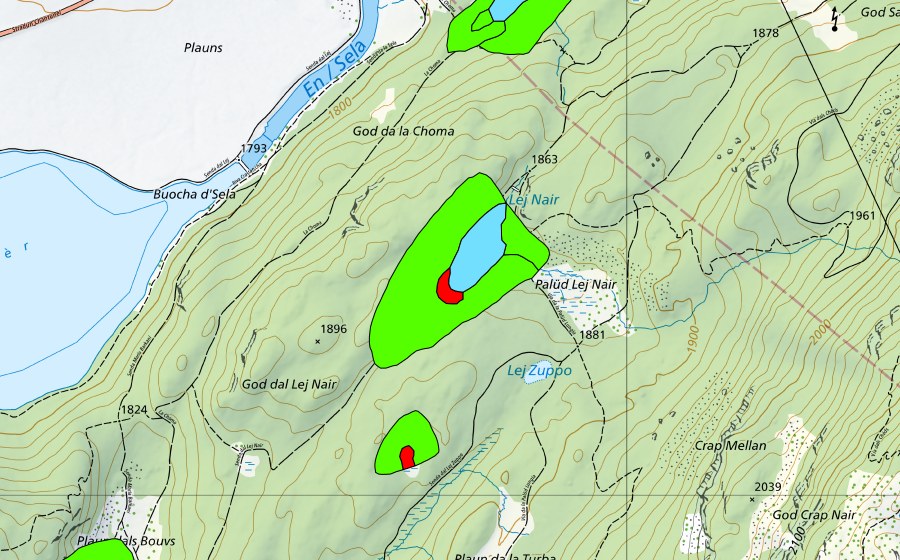 Carte nationale swisstopo avec le périmètre protégé de God Surlej (Haut-marais)