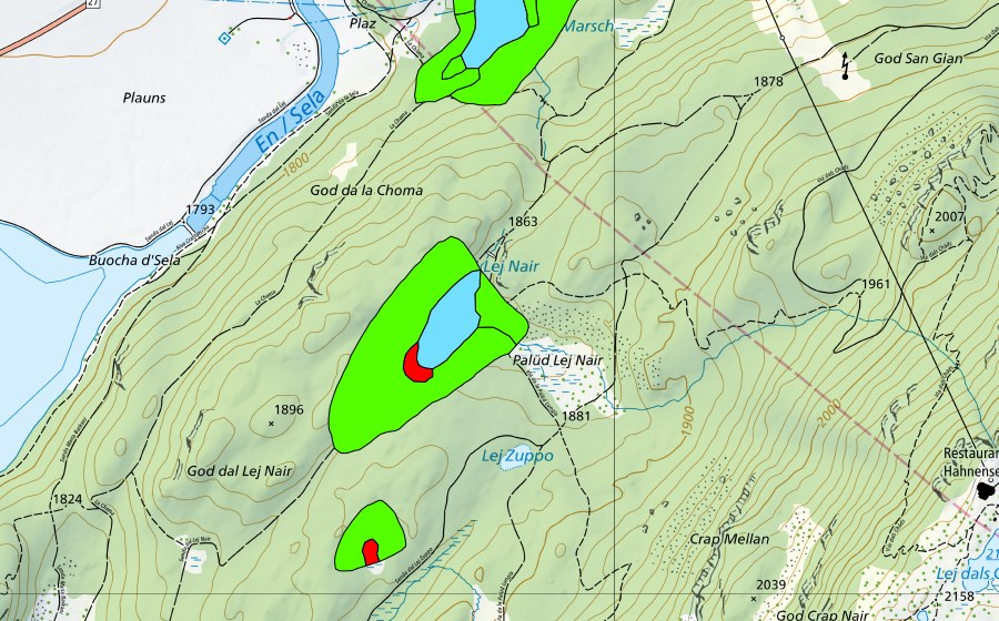 Landeskarte swisstopo mit dem Schutzperimeter von God Surlej (Hochmoor)