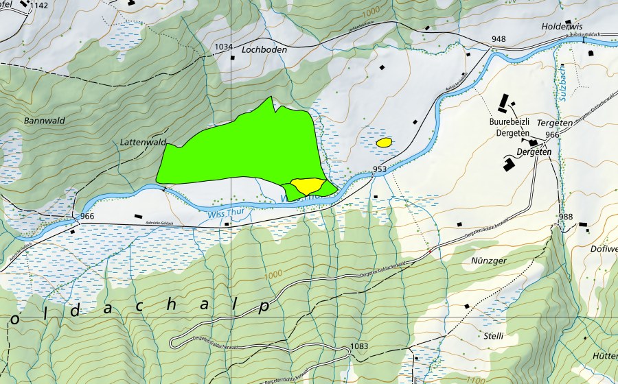 swisstopo national map showing the protected perimeter of Goldach (Raised bog)