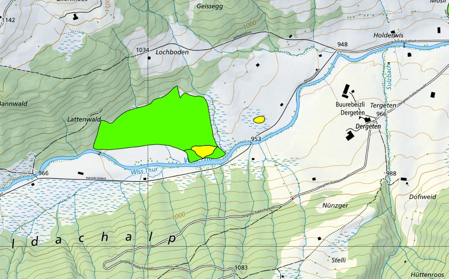 Carte nationale swisstopo avec le périmètre protégé de Goldach (Haut-marais)