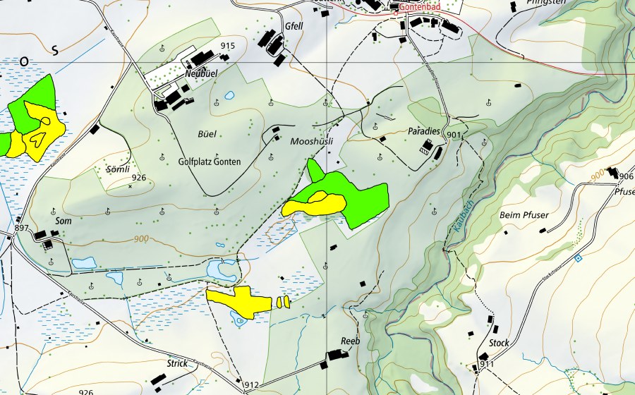 swisstopo national map showing the protected perimeter of Gontenmoos (Raised bog)