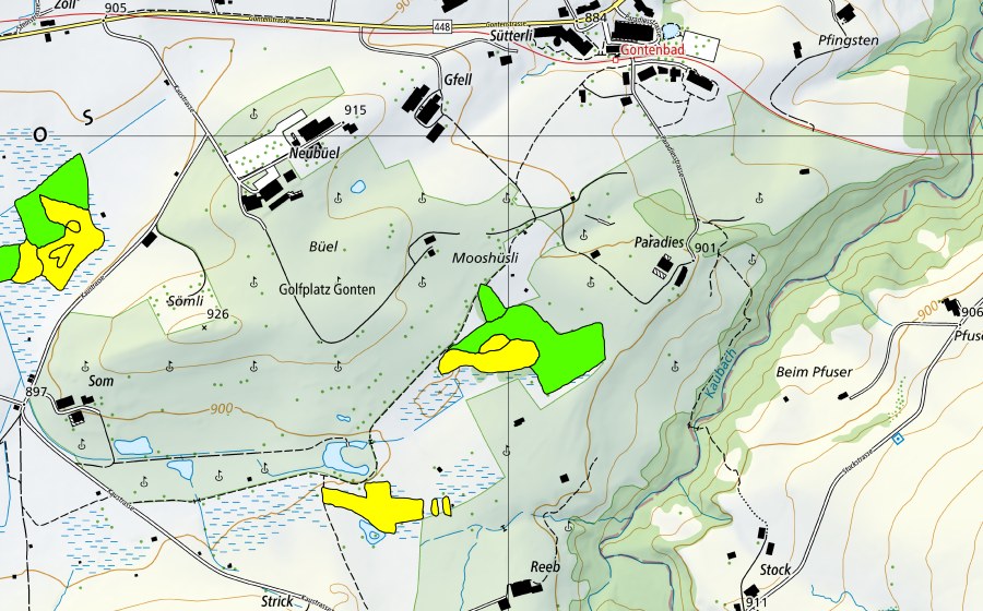 Carte nationale swisstopo avec le périmètre protégé de Gontenmoos (Haut-marais)