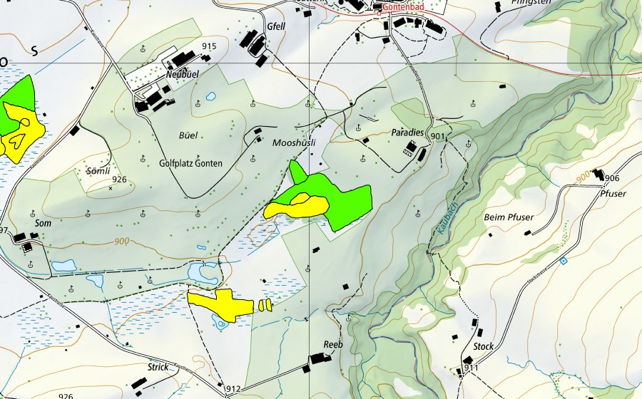 swisstopo national map showing the protected perimeter of Gontenmoos (Raised bog)