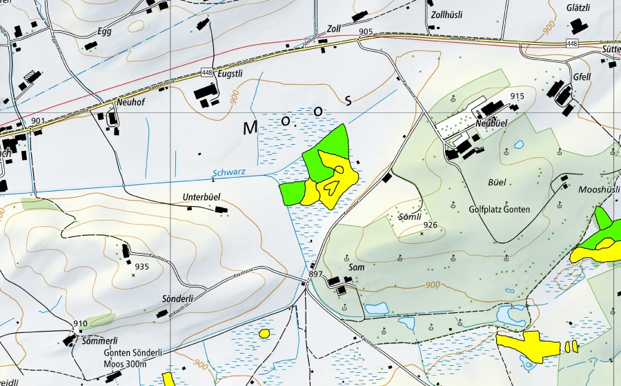Carte nationale swisstopo avec le périmètre protégé de Gontenmoos (Haut-marais)