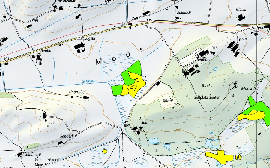 Landeskarte swisstopo mit dem Schutzperimeter von Gontenmoos (Hochmoor)