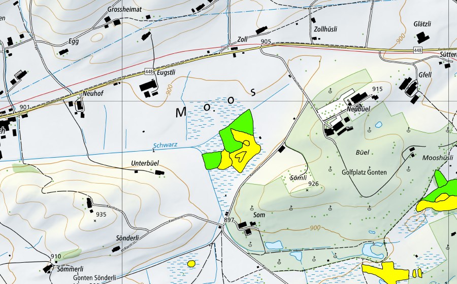 Landeskarte swisstopo mit dem Schutzperimeter von Gontenmoos (Hochmoor)