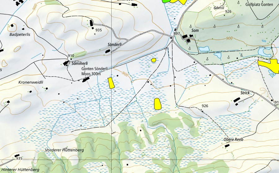 Carte nationale swisstopo avec le périmètre protégé de Gontenmoos (Haut-marais)
