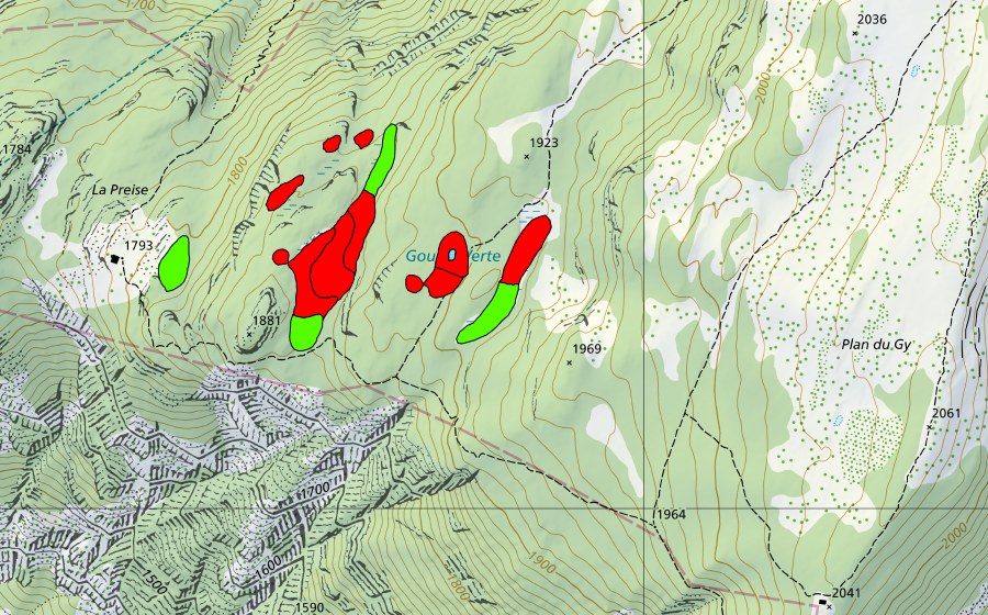 swisstopo national map showing the protected perimeter of Gouille Verte (Raised bog)