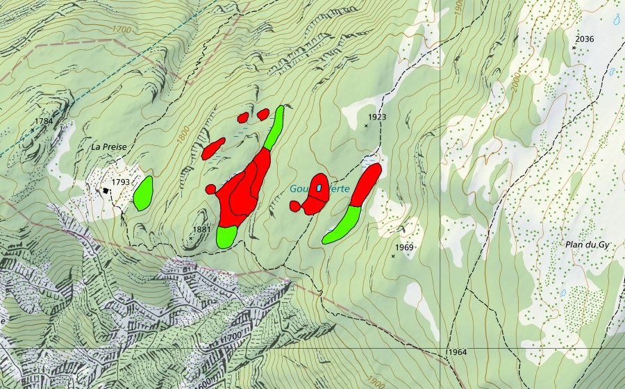 Carte nationale swisstopo avec le périmètre protégé de Gouille Verte (Haut-marais)