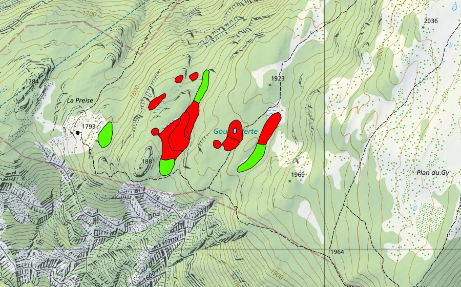 Landeskarte swisstopo mit dem Schutzperimeter von Gouille Verte (Hochmoor)