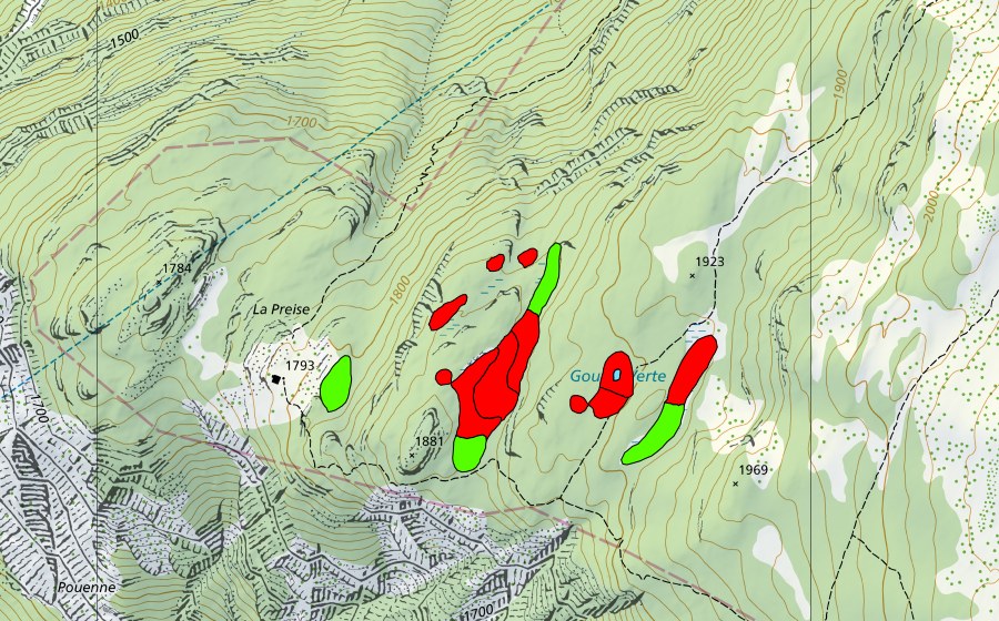 swisstopo national map showing the protected perimeter of Gouille Verte (Raised bog)