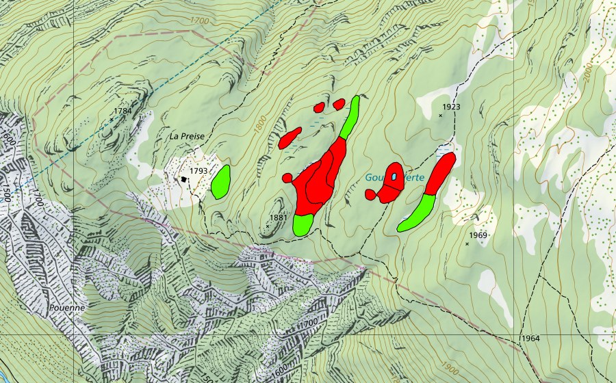swisstopo national map showing the protected perimeter of Gouille Verte (Raised bog)